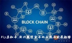 Fiy虚拟币：新兴数字货币的全貌与发展